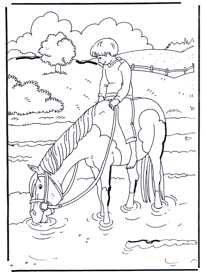 Sur l'eau - Chevaux