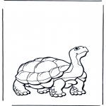 Coloriages d'animaux - Tortue terrestre