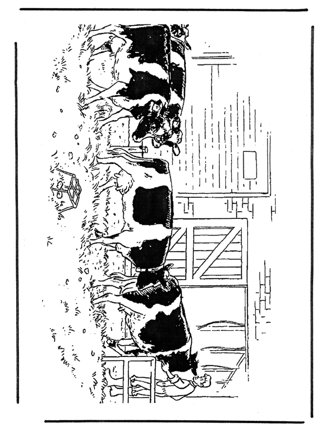 Vaches - Coloriages Animaux de la ferme
