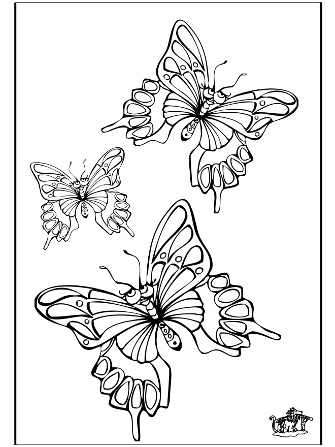 Vlinder 5 - Coloriages insectes