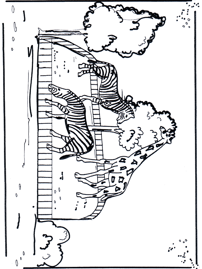 Zèbre et Giraffe - Zoo